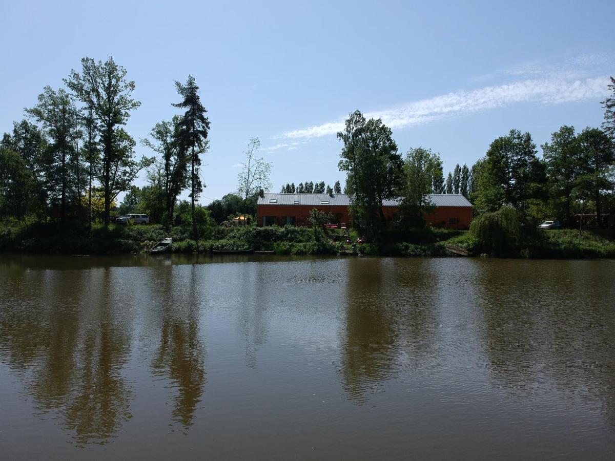 Florennes Gite Neuf 150 M2 Devant Un Grand Lac Prive De 2 Hectares Poissonneux Au Milieu Des Bois Exterior photo