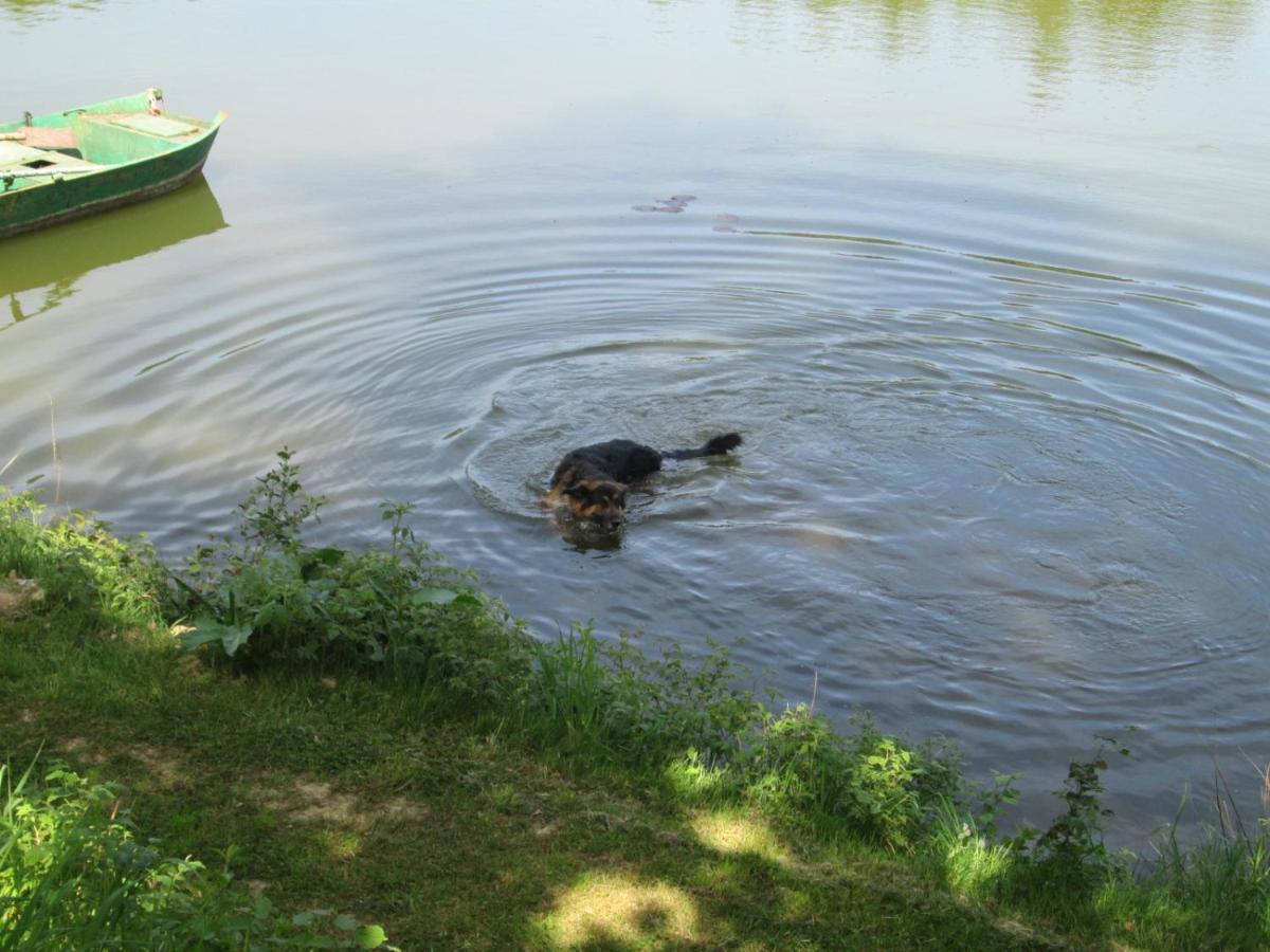 Florennes Gite Neuf 150 M2 Devant Un Grand Lac Prive De 2 Hectares Poissonneux Au Milieu Des Bois Exterior photo