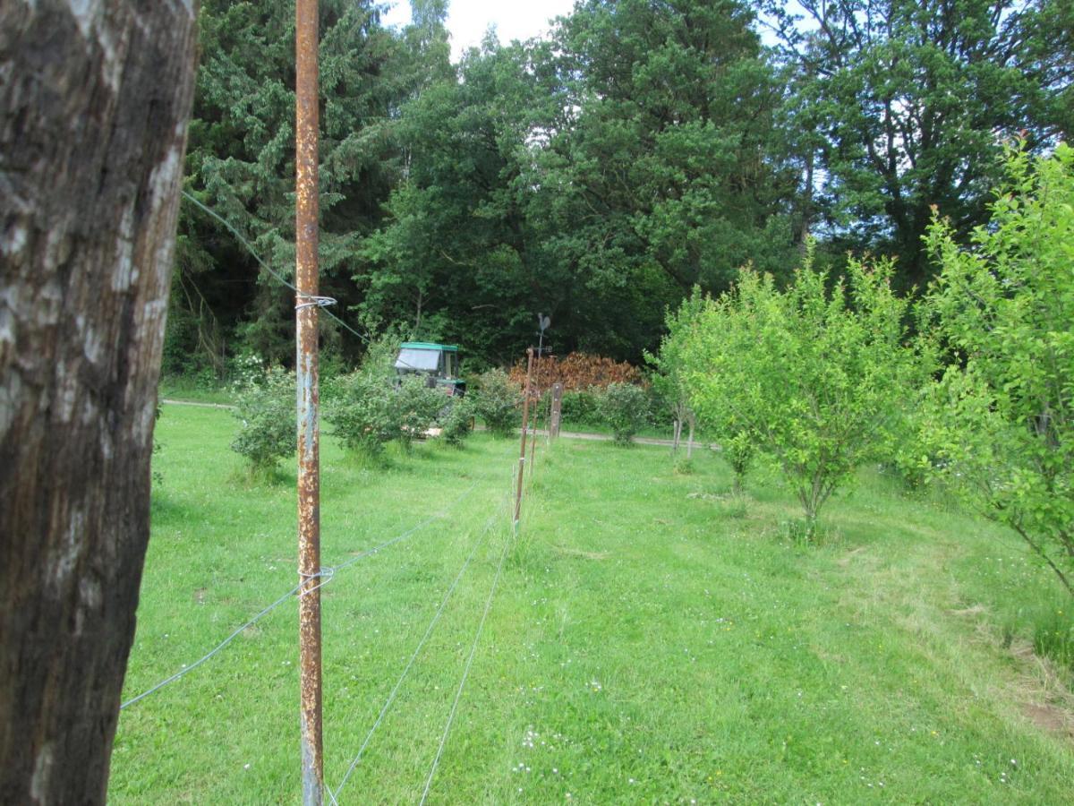 Florennes Gite Neuf 150 M2 Devant Un Grand Lac Prive De 2 Hectares Poissonneux Au Milieu Des Bois Exterior photo