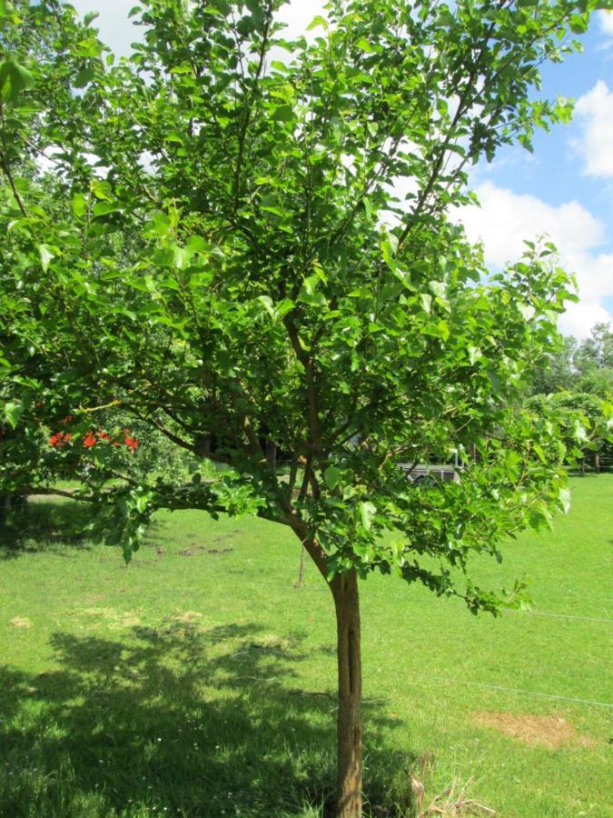 Florennes Gite Neuf 150 M2 Devant Un Grand Lac Prive De 2 Hectares Poissonneux Au Milieu Des Bois Exterior photo