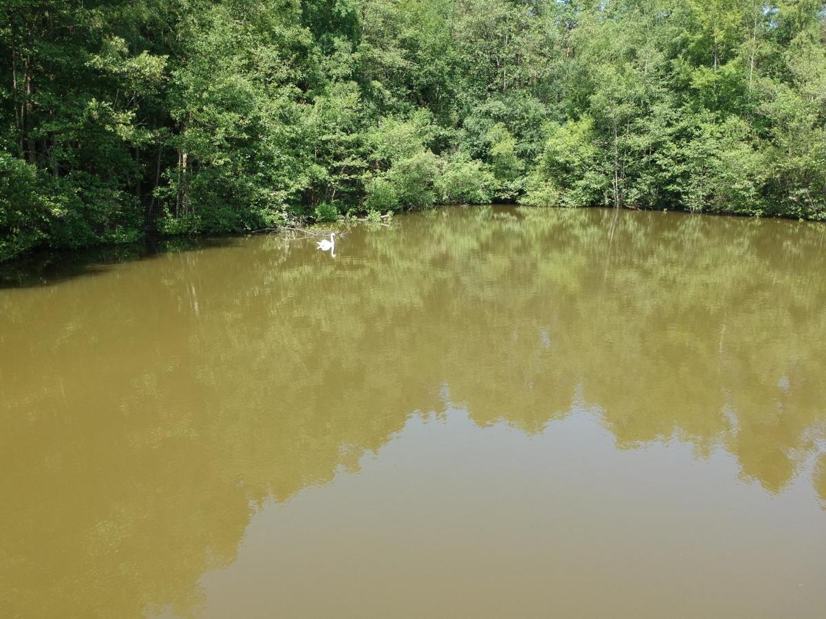 Florennes Gite Neuf 150 M2 Devant Un Grand Lac Prive De 2 Hectares Poissonneux Au Milieu Des Bois Exterior photo