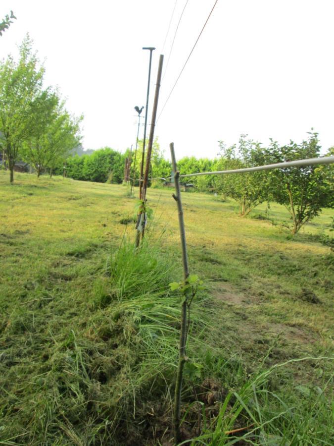 Florennes Gite Neuf 150 M2 Devant Un Grand Lac Prive De 2 Hectares Poissonneux Au Milieu Des Bois Exterior photo