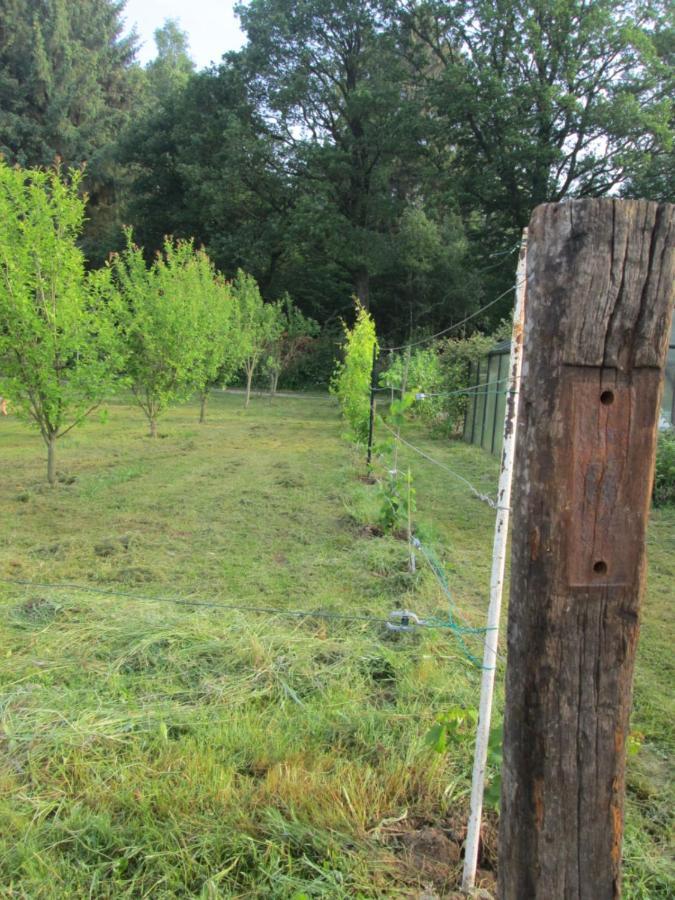 Florennes Gite Neuf 150 M2 Devant Un Grand Lac Prive De 2 Hectares Poissonneux Au Milieu Des Bois Exterior photo
