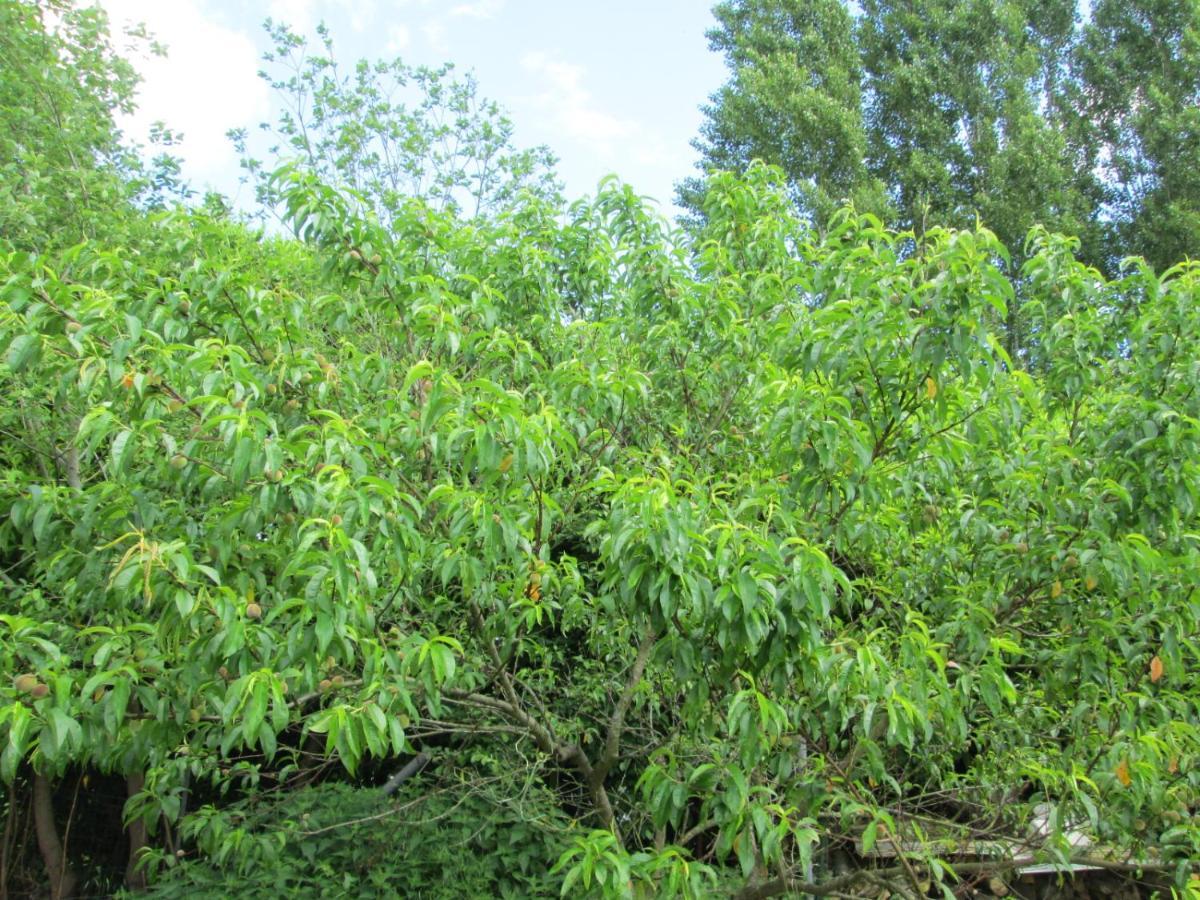 Florennes Gite Neuf 150 M2 Devant Un Grand Lac Prive De 2 Hectares Poissonneux Au Milieu Des Bois Exterior photo