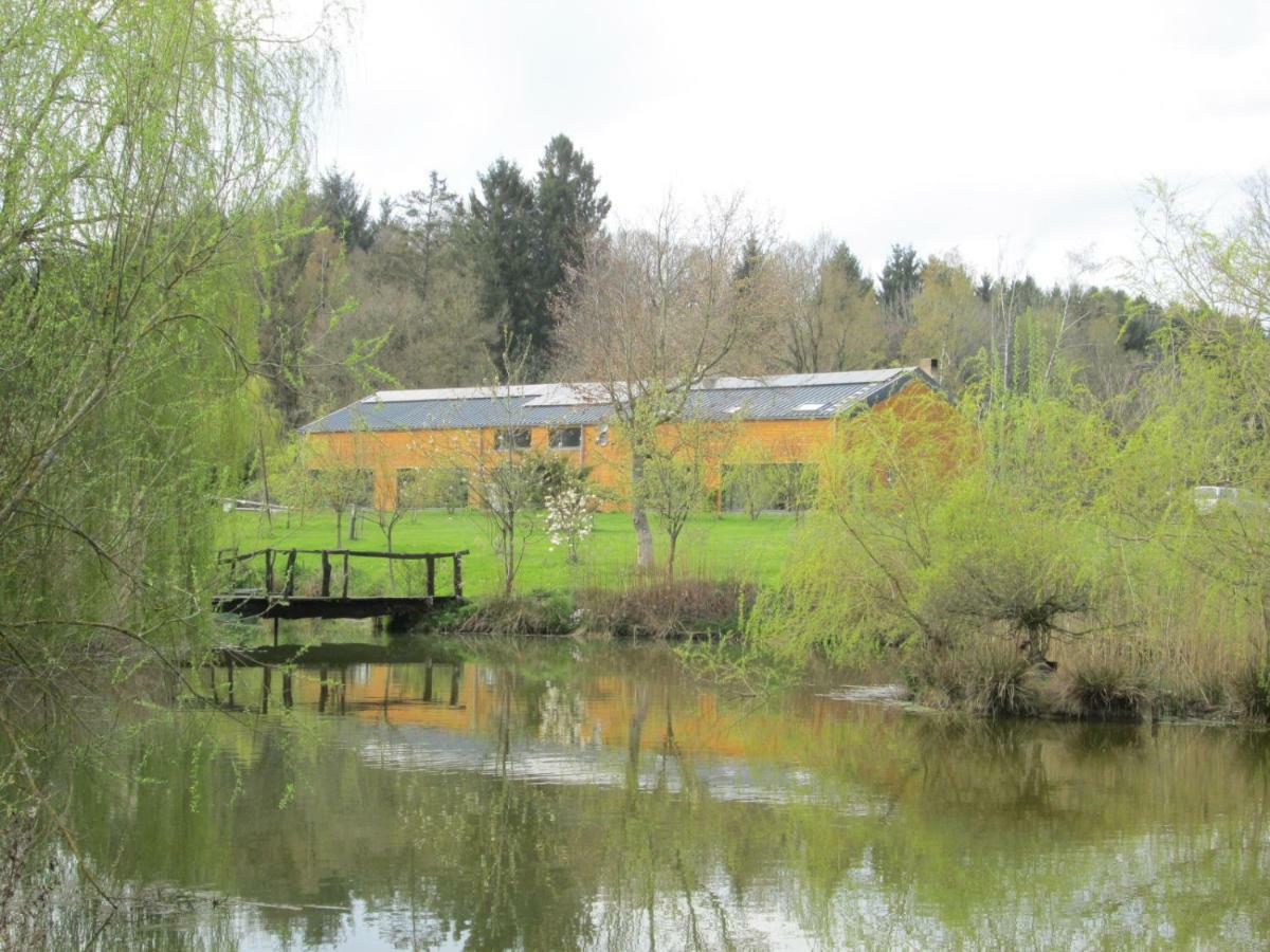 Florennes Gite Neuf 150 M2 Devant Un Grand Lac Prive De 2 Hectares Poissonneux Au Milieu Des Bois Exterior photo