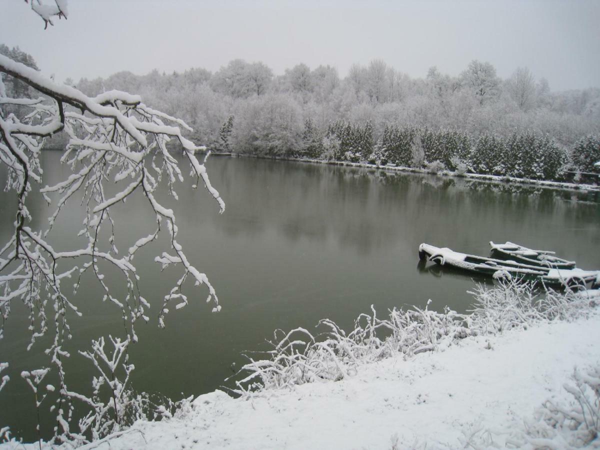 Florennes Gite Neuf 150 M2 Devant Un Grand Lac Prive De 2 Hectares Poissonneux Au Milieu Des Bois Exterior photo